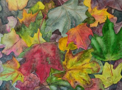 Colourful Autumn leaves