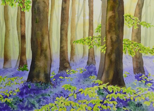 Bluebell Wood Bluebells in West Woods, giclée print on paper