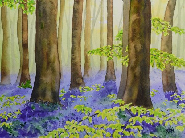 Bluebells in West Woods, giclée print on paper