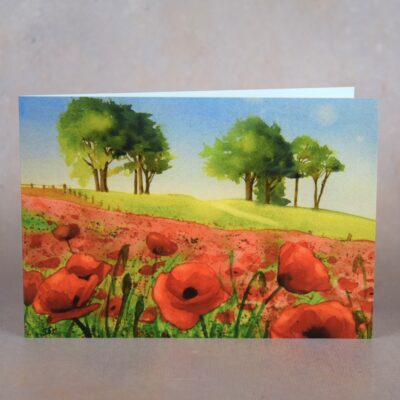 Poppies at Oliver's Castle