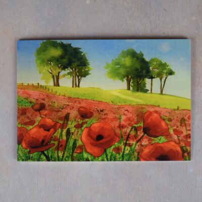 Poppies at Oliver's Castle