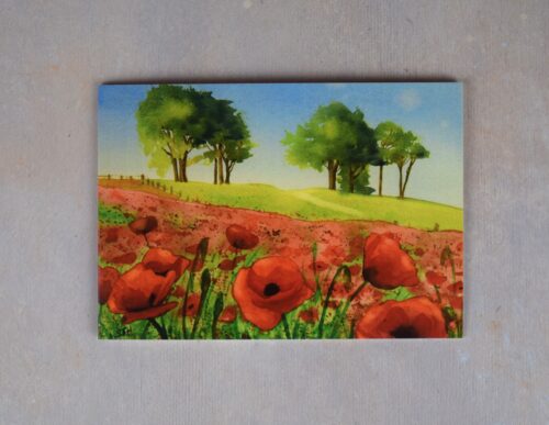 Poppies at Oliver's Castle