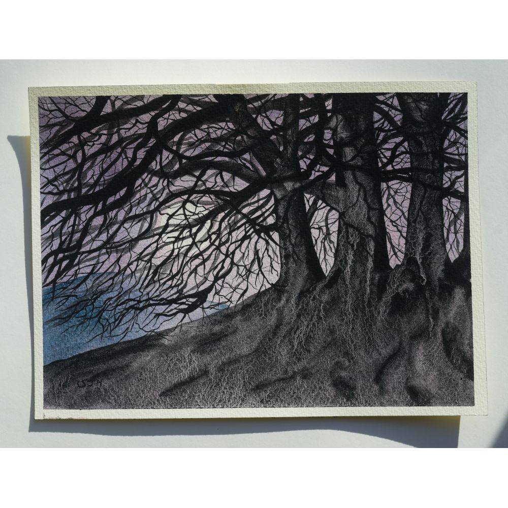 Avebury Beech Trees by Moonlight