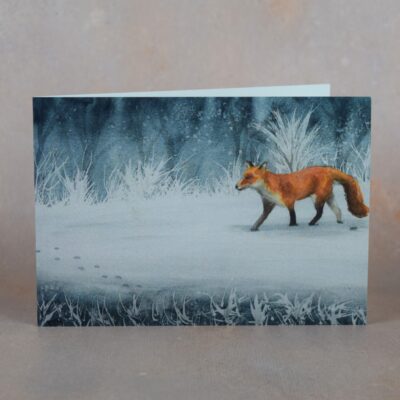 DSC_0005 Winter Fox