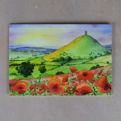 DSC_0014 Glastonbury Tor with Poppies