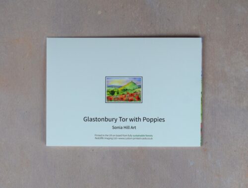 DSC_0015 Glastonbury Tor with Poppies