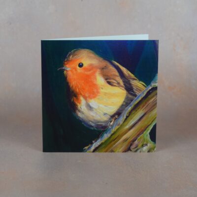 Robin 1