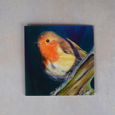 Robin 1