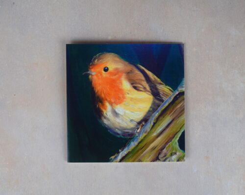 Robin 1