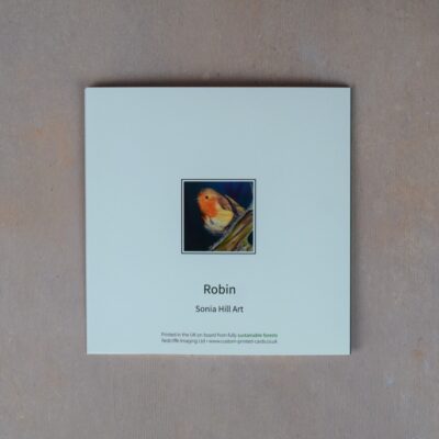 Robin 1
