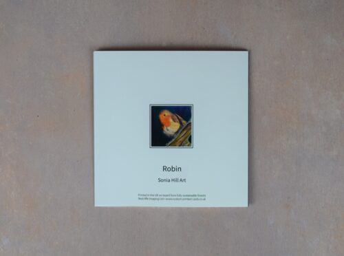 Robin 1
