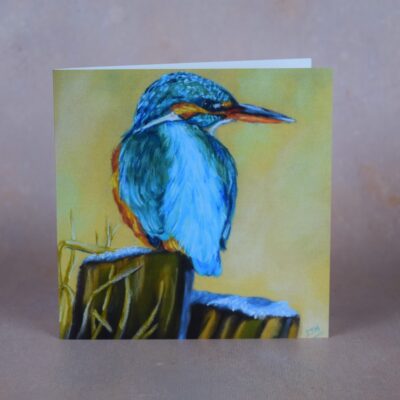 DSC_0019 Kingfisher