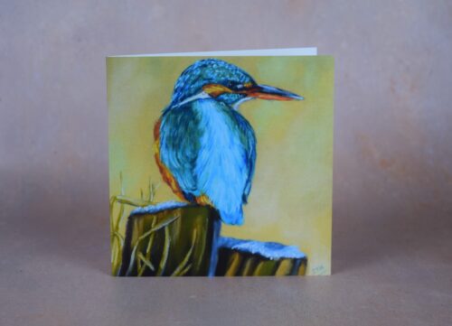 DSC_0019 Kingfisher