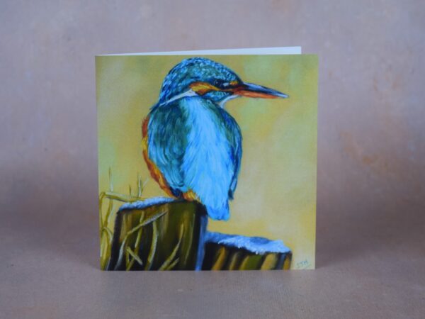DSC_0019 Kingfisher