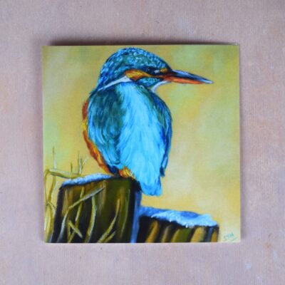 DSC_0020 Kingfisher