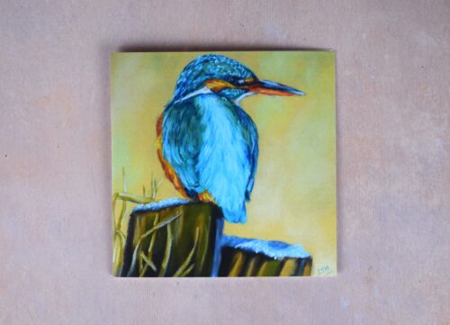 DSC_0020 Kingfisher