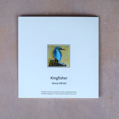 DSC_0021 Kingfisher