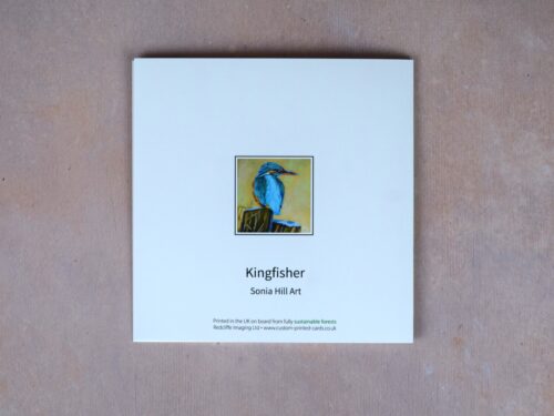 DSC_0021 Kingfisher