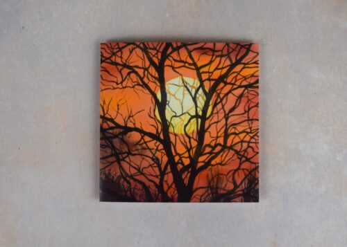 DSC_0035 Sunset Through the Trees