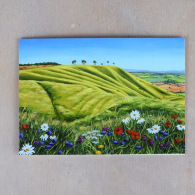 Roundway Down