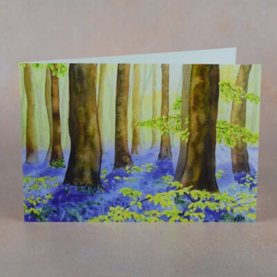 DSC_0051 Bluebell Wood