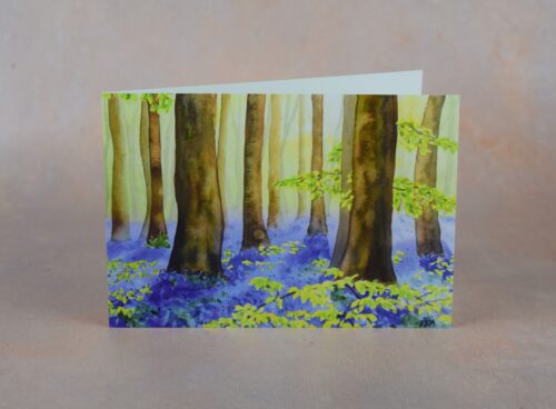 DSC_0051 Bluebell Wood