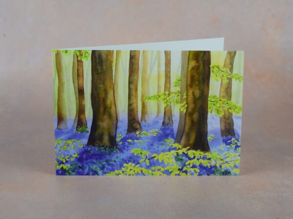 DSC_0051 Bluebell Wood