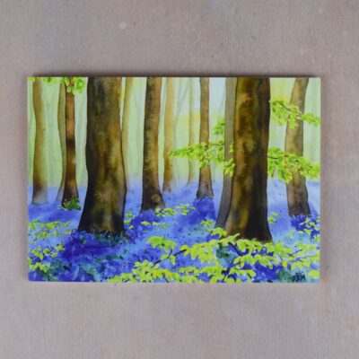 DSC_0052 Bluebell Wood