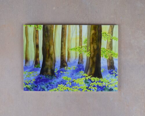 DSC_0052 Bluebell Wood