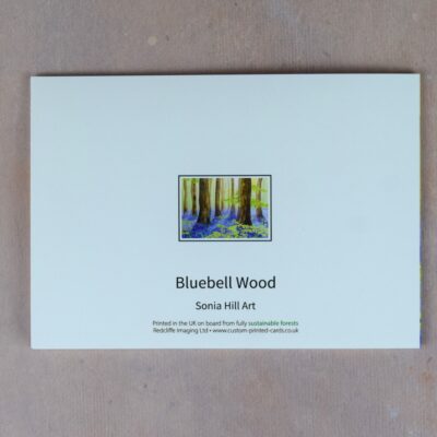DSC_0053 Bluebell Wood
