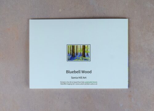 DSC_0053 Bluebell Wood