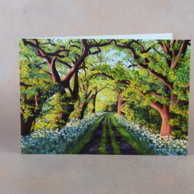DSC_0057 Avenue of Oaks