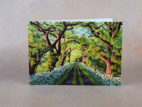 DSC_0057 Avenue of Oaks