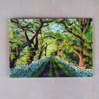 DSC_0059 Avenue of Oaks