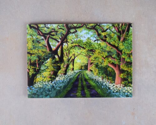 DSC_0059 Avenue of Oaks