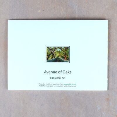DSC_0060 Avenue of Oaks