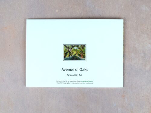 DSC_0060 Avenue of Oaks