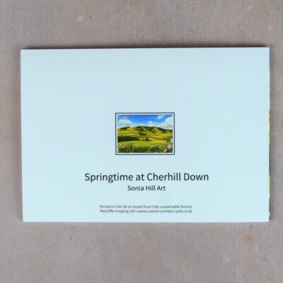 DSC_0069 Springtime at Cherhill Down