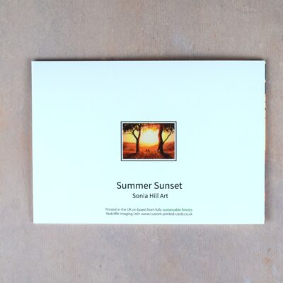DSC_0072 Summer Sunset