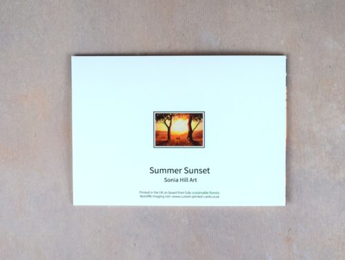 DSC_0072 Summer Sunset