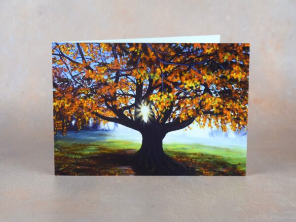 DSC_0073 Autumn Beech