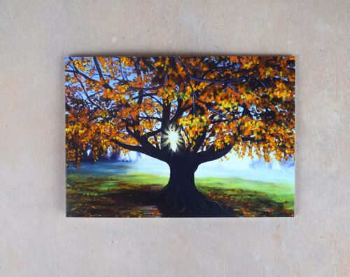 DSC_0074 Autumn Beech