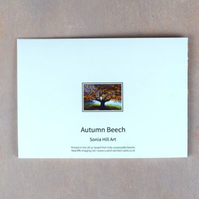 DSC_0075 Autumn Beech