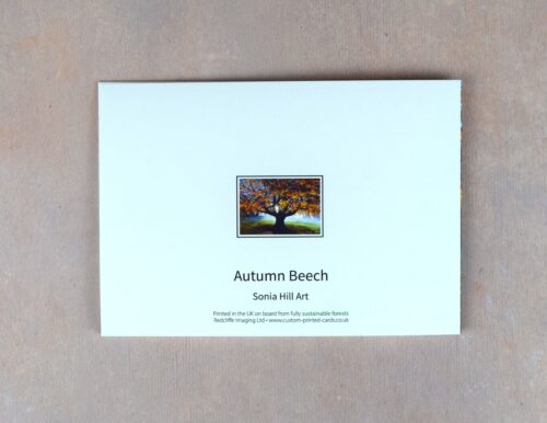 DSC_0075 Autumn Beech