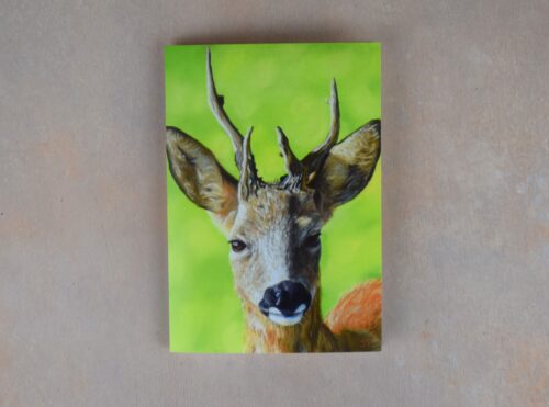 DSC_0077 Roe Buck