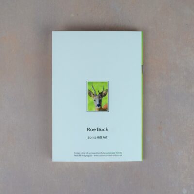 DSC_0078 Roe Buck