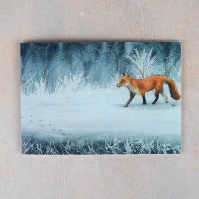 DSC_0080 Winter Fox