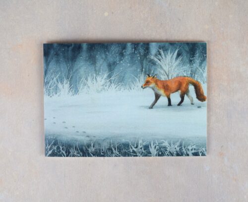 DSC_0080 Winter Fox