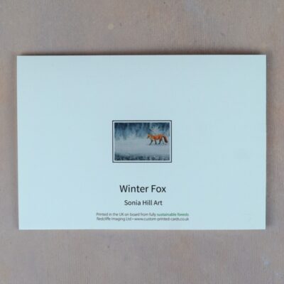 DSC_0081 Winter Fox