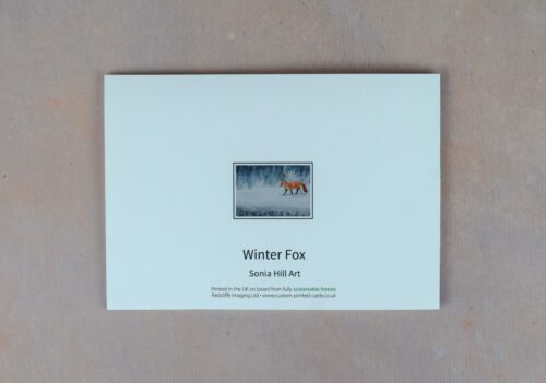DSC_0081 Winter Fox